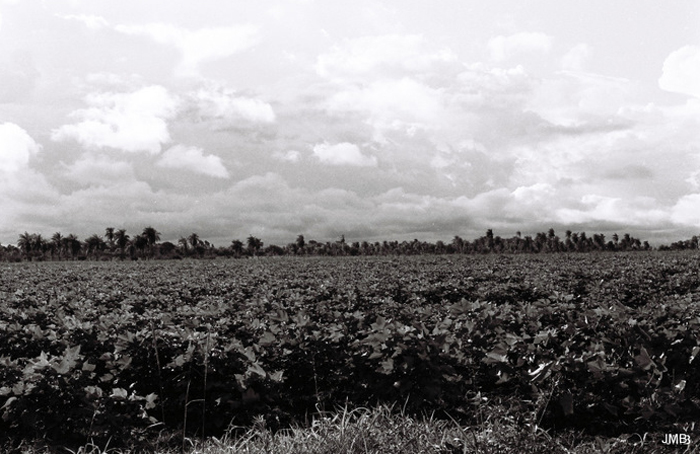 AÑO 1977 - BLANCO Y NEGRO - VIDA CAMPESINA EN PARAGUAY (JOSÉ MARÍA BLANCH)